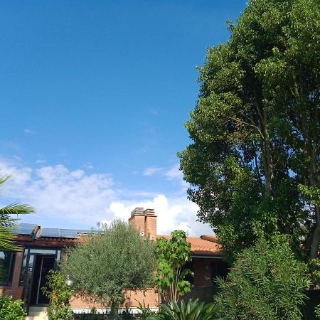 Appartamento Signorile, Luminosissima Vista Mare Fregenae Eksteriør bilde